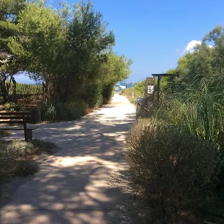 Badine 5p Piscine Balneo Clim Jardin Exotique * Hyeres