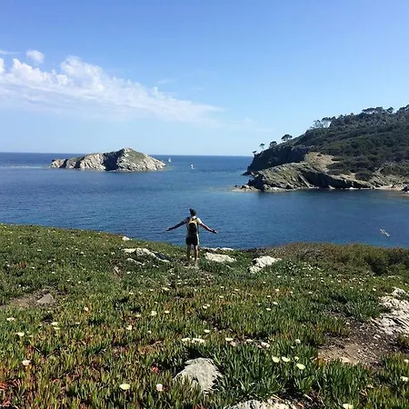 Badine Piscine Balneo Clim הייר